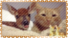 deer cat stamp